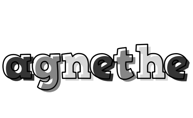 Agnethe night logo