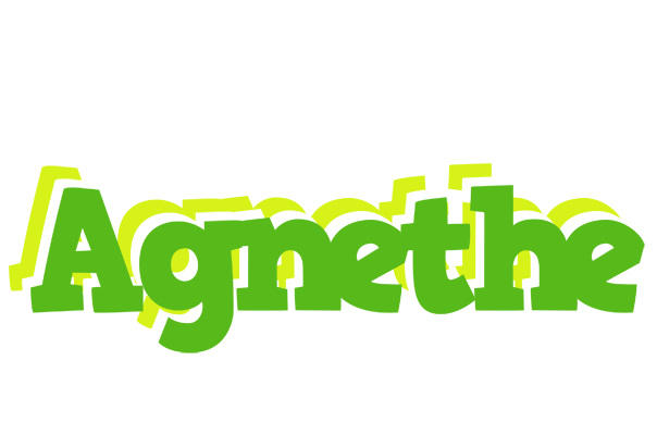 Agnethe picnic logo