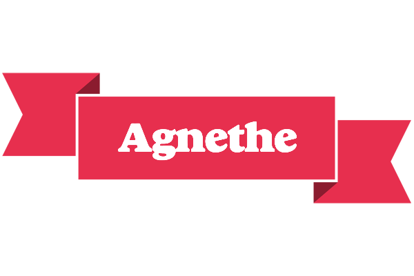 Agnethe sale logo