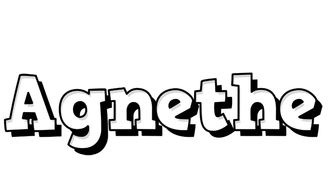 Agnethe snowing logo