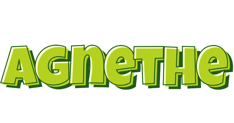Agnethe summer logo