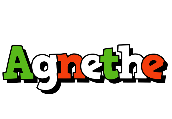 Agnethe venezia logo