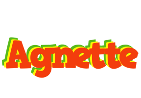 Agnette bbq logo