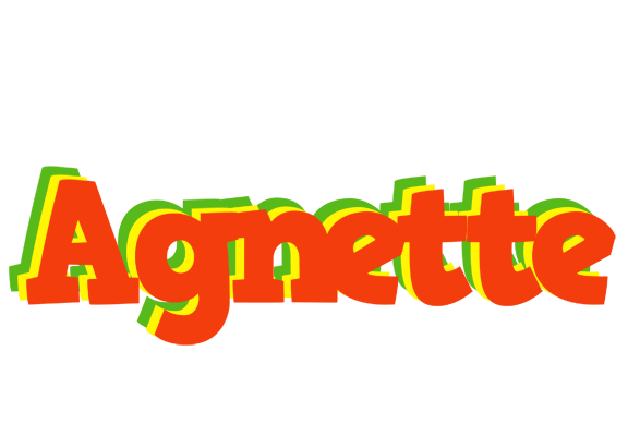 Agnette bbq logo