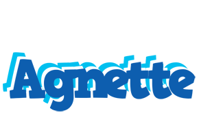 Agnette business logo