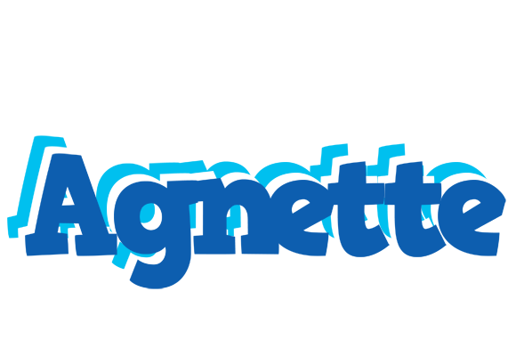 Agnette business logo