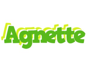 Agnette picnic logo