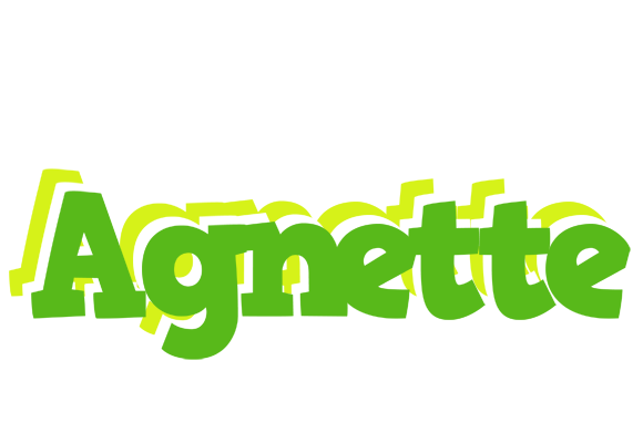 Agnette picnic logo