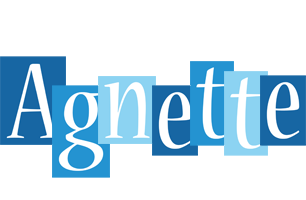 Agnette winter logo