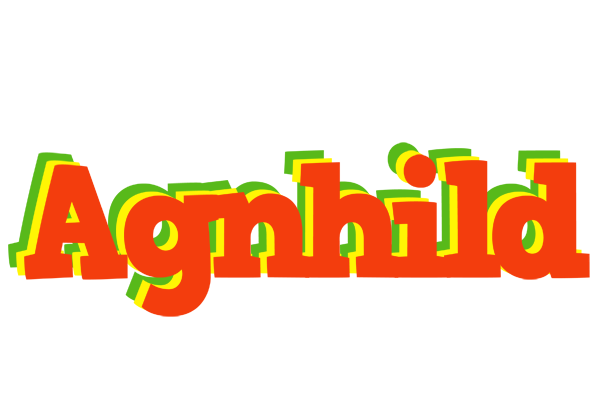 Agnhild bbq logo