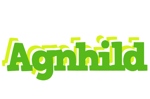 Agnhild picnic logo