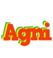 Agni bbq logo