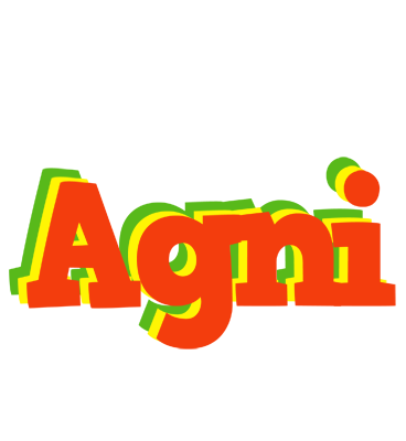 Agni bbq logo