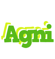 Agni picnic logo