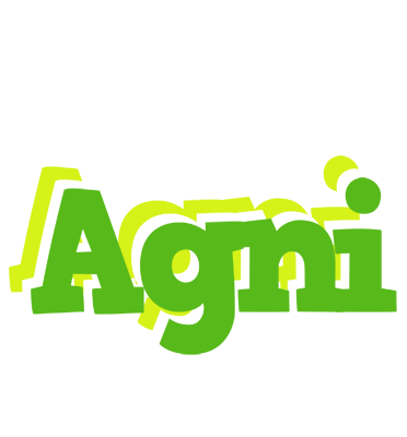 Agni picnic logo