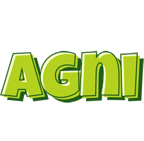 Agni summer logo