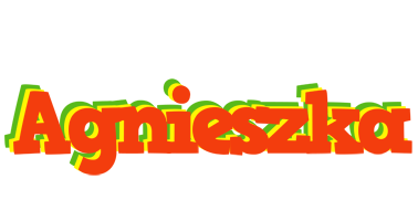 Agnieszka bbq logo