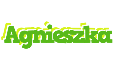 Agnieszka picnic logo