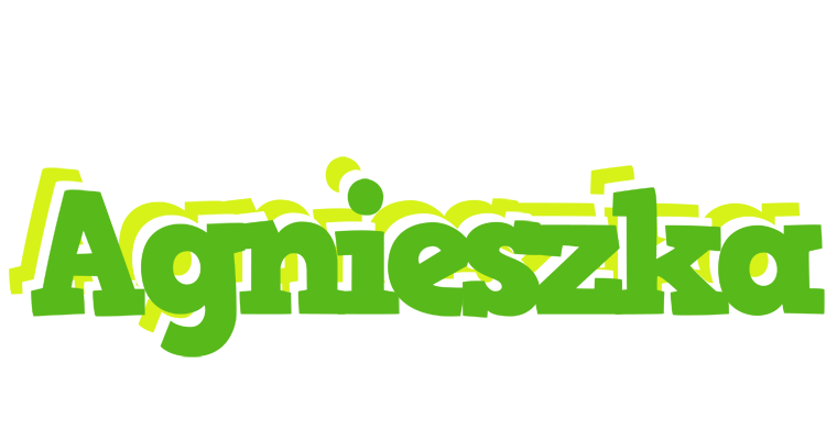 Agnieszka picnic logo