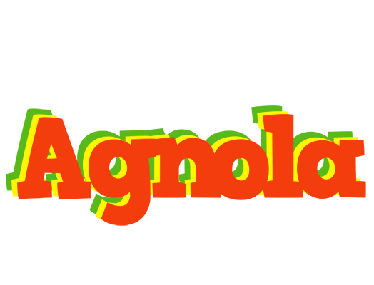 Agnola bbq logo