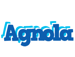 Agnola business logo