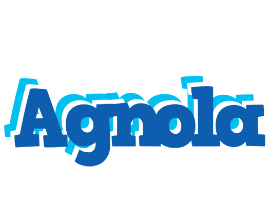 Agnola business logo