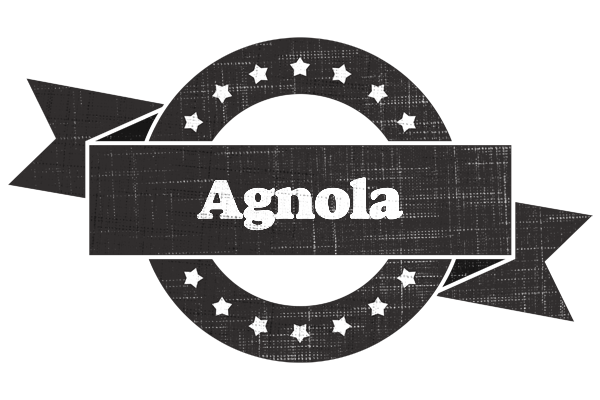 Agnola grunge logo