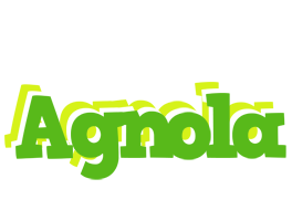 Agnola picnic logo