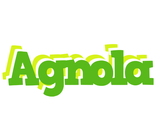 Agnola picnic logo
