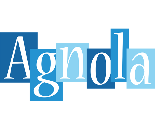 Agnola winter logo