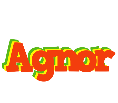 Agnor bbq logo