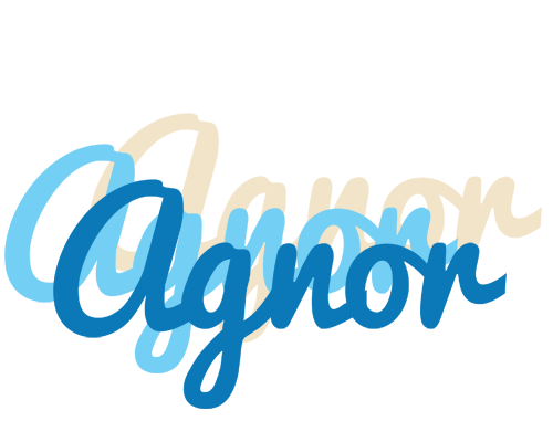 Agnor breeze logo