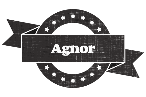 Agnor grunge logo