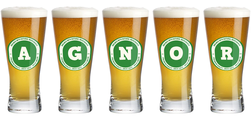 Agnor lager logo