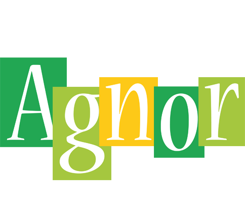Agnor lemonade logo