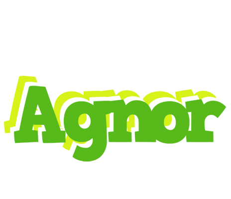 Agnor picnic logo