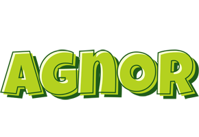 Agnor summer logo