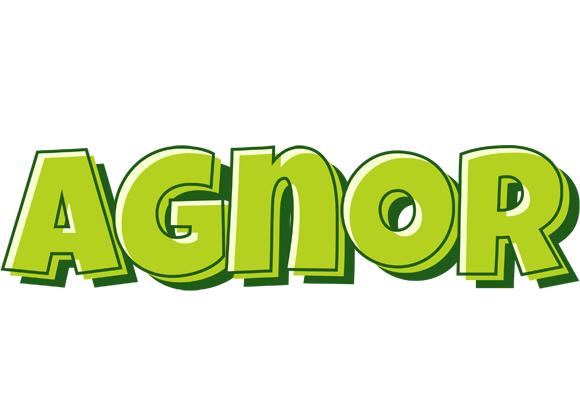 Agnor summer logo