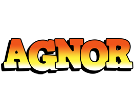 Agnor sunset logo