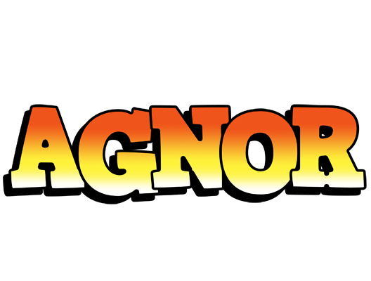 Agnor sunset logo