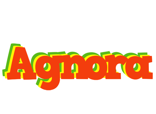 Agnora bbq logo