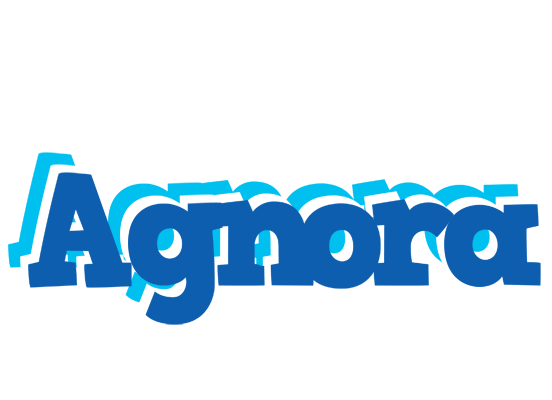 Agnora business logo