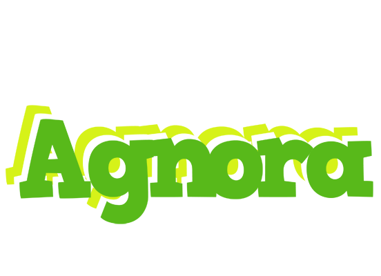 Agnora picnic logo