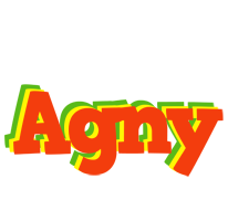 Agny bbq logo