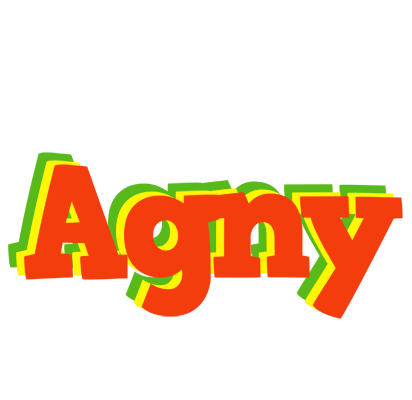Agny bbq logo