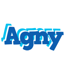 Agny business logo