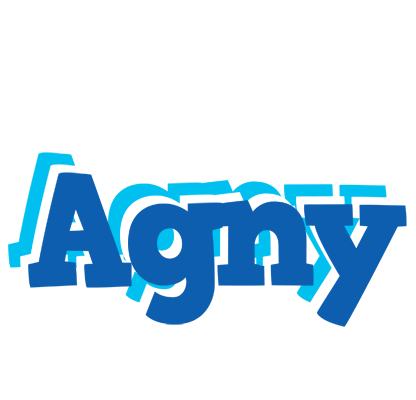 Agny business logo