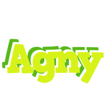 Agny citrus logo