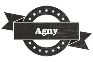 Agny grunge logo