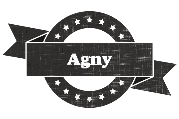 Agny grunge logo